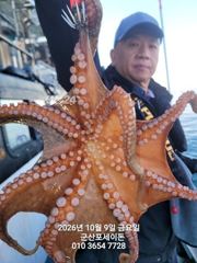 9일, 군산 왕문어 ~싸이즈 확실한 덩치급 왕문어~오늘도 어김없이~실시간~군산낚시프라자 포세이돈호 사진
