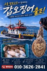 [고흥,녹동] 녹동돌문어 싸이즈급 조황~