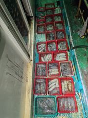 [거제] 내만무늬 마리수폭발 120수잡고 철수