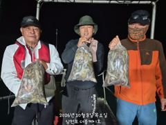 삼천포 문어 주꾸미