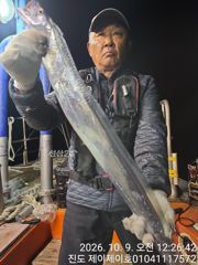 [해남,진도] 진도제이제이 10 월8일 진도권 떳다 갈치 조황입니다