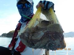 [사천] [수영호] 돌문어 조황~!!!