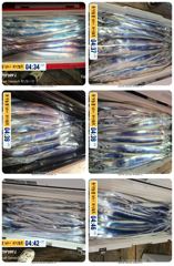 [통영] 14석 보성3호 갈치가 많이나옵니다~~내일 긴급 10자리여유}