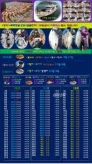 [고흥,녹동] 붉바리조황 이정도는 잡아봐야지요 대박 조황입니다 2026년10월…