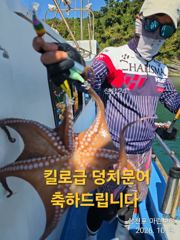 [사천] 삼천포 마린보이 10. 9. 금요일 주간문어 풍성하게 뜯고 왔습…