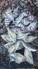 무거운 쿨러