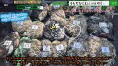 10월9일 홍원항힐링호 쭈반갑반^^ 조황~!쭈갑애들 괜찮네요ㅎㅎ장원7.6kg오바~ 2등7kg 전원 조과가 비슷비슷하네요^^수고들 많으셨습니다~ㅎㅎ 사진