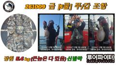 루어파이터호-10/9 금 [5물] 갑오징어 조항 입니다.