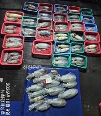 장원 31수~ 전원 두자릿수!!! 11일(일) 널널합니다!!!