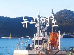 [VIP 광명호] 오늘도 퍼담으로 통영 먼바다로 갑니다 -- 12일(월) - 3자리여유 --