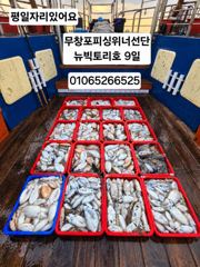 [쭈갑조황] 10/9뉴빅토리호 갑오징어 조황