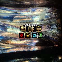 [백야호]26.10.09 갈치 선상 낚시 조황