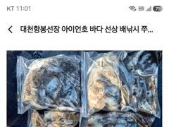 26년10월09일 대천항봉선장 아이언호 쭈꾸미갑오징어조황