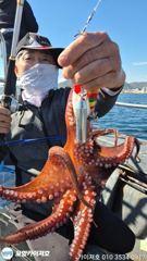 9일 오전 돌문어 조황입니다 사진