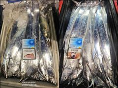 [진해] [10일입항] "내만갈치" 입문자들 모두 일냈어요!! 만쿨~ 만…