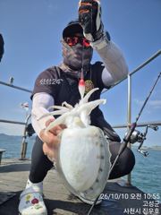 10일 열한분 전원 아침부터 쭈꾸미 너나피딩 받고 130수 전,후로 잡았습니다~^^ 요즘 쭈꾸미 전체조황 좋습니다! (12일 월요일부터 자리여유 많습니다^^)
