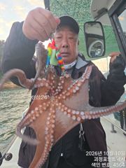 ~~*10일 굵직한돌문어 씨알급들 손맛 굿~~(낼예약가능)*~~ 사진