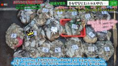 10월10일 홍원항힐링호 쭈반갑반^^ 조황~!쭈갑애들 괜찮네요ㅎㅎ어제보다 좀더 잡았네요~장원8.4kg오바~ 2등7.8kg 나머지분들도 조과가 비슷비슷하네요.수고들 많으셨습니다~ 사진