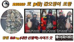 루어파이터호-10/10 토 [6물] 갑오징어 조항 입니다.