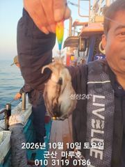★★ 10 / 10 [군산 대일피싱] 마루호 갑오징어 조황입니다. 화요일 8자리 있습니다.