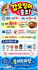 내일 갑오징어 출항 확정! 자리 많아요~^^