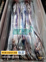 [거제] [[ 대림낚시바다호 ]] 대박이 났네요 근데도 오늘 자리가 …