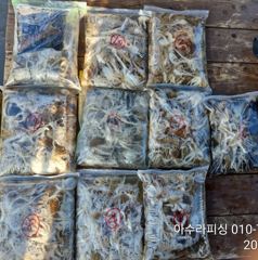 삼천포 아수라피싱 주꾸미 조황