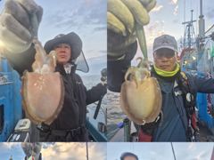 <크라운호.> 군산갑오징어 실시간조황~잘나옵니다(11일)-오후주꾸미 자리있습니다