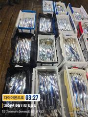 [진해] 씨알에 마릿수 매일만쿨대박행진! 예약가능! 전화주세요~