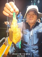 [군산] 10월11일 군산 강남호 갑오징어실시간 조황 (12일 월요일 …