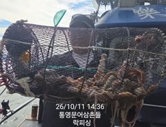 [통영] (문어)많多많아 원도권 중량급들 마구마구~락피싱(12일 예약)