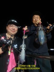 웨이브호무늬오징어팁런키로오버