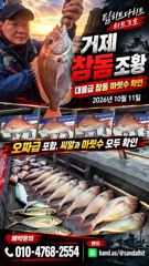 [거제] 선상흘림/걸면 오짜급! 덩치들 붙었습니다