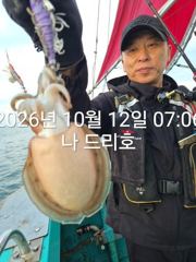 12일, 군산은 갑오징어 천국~싸이즈 굿~오늘도 굿~실시간~~군산낚시프라자 나드리호