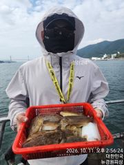 이번주 쭈꾸미 갑오징어 야간문어 출조합니다 자리여유