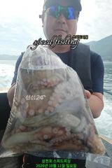 [사천] 11일 kg오버.씨알 굵직한 문어 조황!!(14일 왕주꾸미 출조…