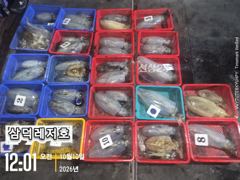 [통영] [팁런]k,k,완전무시급들싸이즈"굿"(화요일출항) 사진
