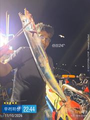[진해] 준내만갈치(텐빈. 텐야) 조황입니다.