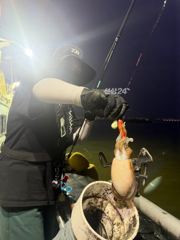 #목포야타피싱 #11일 #야간쭈꾸미&갑오징어 #짬낚시 #조황! 사진