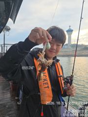 10/11 쭈꾸미 반나절 조황