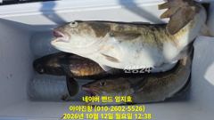 2026 10 12 대구라바
