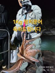 삼천포 마린보이 10. 12. 풍성한 야간문어 뜯고 재미나게 입항했습니다.