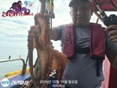 (야간문어)수.목.금.예약가능 무너쭉욱 달립니다
