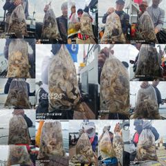 [사천] 쭈꾸미 피딩! 평일 오전11시~주말 오전6시 30분 출항 사진