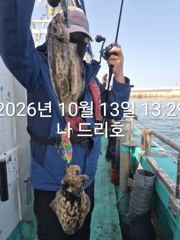 13일, 군산은 갑오징어 천국~싸이즈 굿~~내일도 갑니다~군산낚시프라자 나드리호 사진