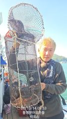 [통영] (실시간)문어 구덩이 초~대박 K 포함 벌써 이만큼~락피싱(15… 사진