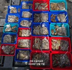 <야간갑오징어>펀치훅훅!수,목~&<주간쭈꾸미>토,일 예약가능