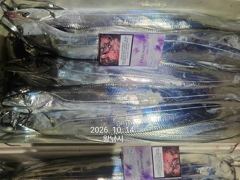 [진해] 내만갈치 美친..씨알깡패! 퍼담고 쓸어담고.. 사진