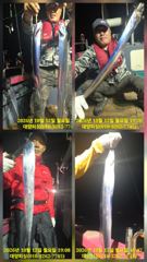 대양호 선상낚시 조황
