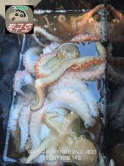 여수 짱구호 10월14일(수) k급 문어 조황